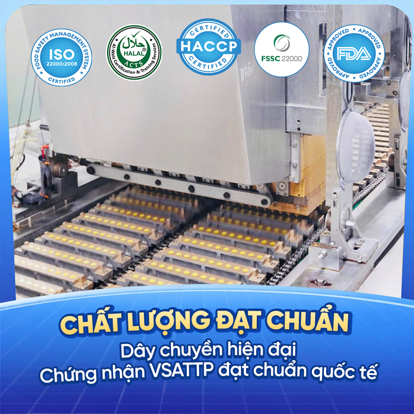 hạt nổ đại long đạt chuẩn chất lượng quốc tế